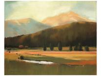 Colorado Mountains Dream-Judith D'Agostino-Stretched Canvas