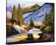 Colorado Fall Dream-Judith D'Agostino-Stretched Canvas