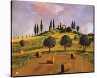 Tuscan Hillside-Judith D'Agostino-Stretched Canvas