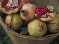 Basket of Pomegranate, Oaxaca, Mexico-Judith Haden-Photographic Print