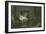 Judith Malmayus Meditating the Murder of Amabel-John Franklin-Framed Giclee Print