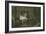 Judith Malmayus Meditating the Murder of Amabel-John Franklin-Framed Giclee Print