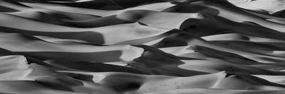 USA, Mojave Trails National Monument, California. Black and white image of windblown sand dune and -Judith Zimmerman-Photographic Print