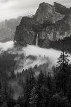 California. Yosemite National Park. Black and White Image of Pine Forests with Swirling Mist-Judith Zimmerman-Photographic Print