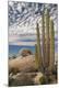 Premium Photographic Print
