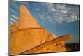 Premium Photographic Print