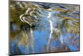 Premium Photographic Print