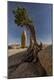 Premium Photographic Print