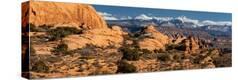 Stretched Canvas Print