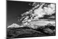 Photographic Print