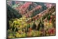 Premium Photographic Print