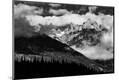 Premium Photographic Print