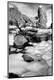 Photographic Print