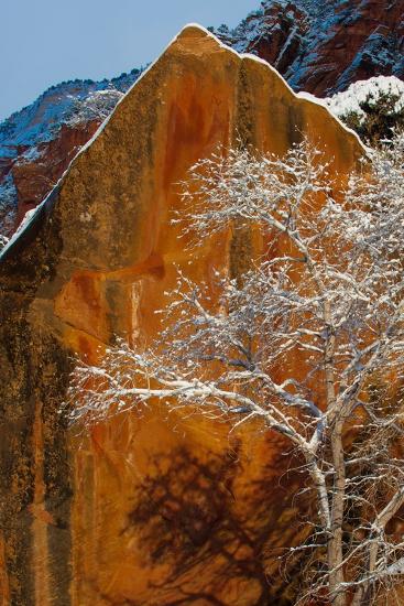 Photographic Print, , large
