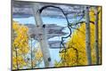 Premium Photographic Print
