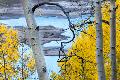 Premium Photographic Print