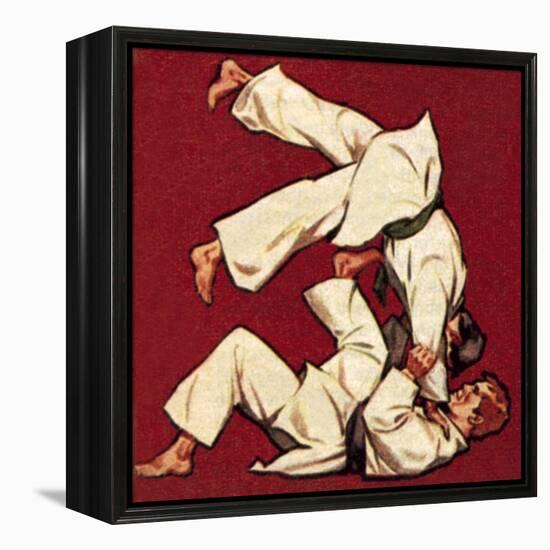 Judo-McConnell-Framed Premier Image Canvas