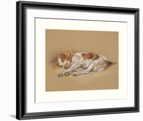 Judy, A Spaniel Puppy-Mac-Framed Premium Giclee Print