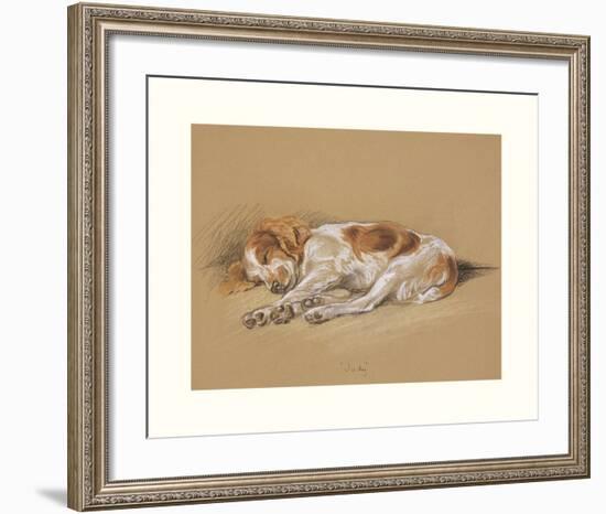 Judy, A Spaniel Puppy-Mac-Framed Premium Giclee Print