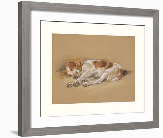 Judy, A Spaniel Puppy-Mac-Framed Premium Giclee Print