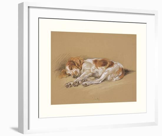 Judy, A Spaniel Puppy-Mac-Framed Premium Giclee Print