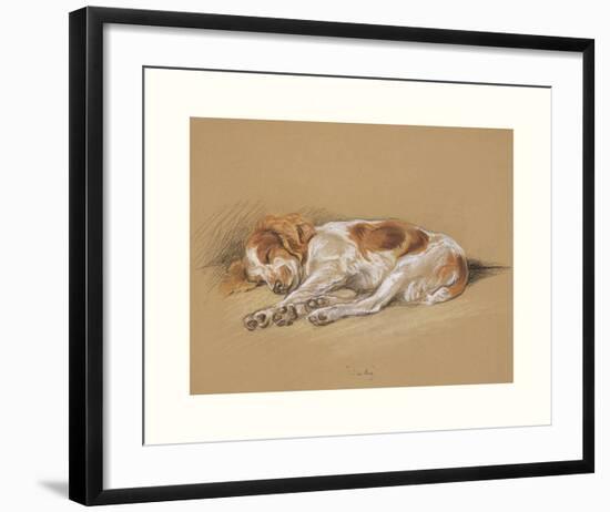 Judy, A Spaniel Puppy-Mac-Framed Premium Giclee Print