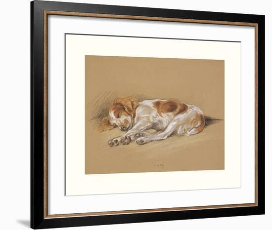 Judy, A Spaniel Puppy-Mac-Framed Premium Giclee Print