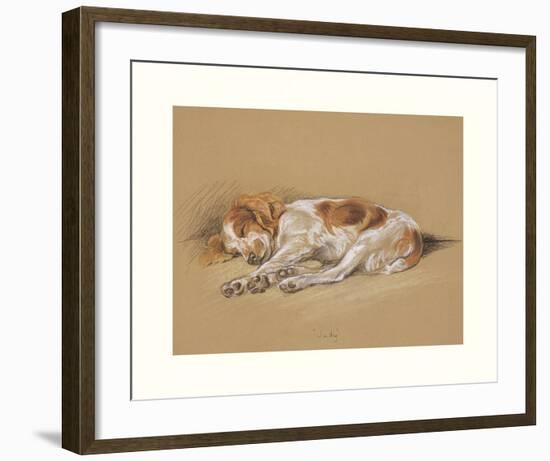 Judy, A Spaniel Puppy-Mac-Framed Premium Giclee Print