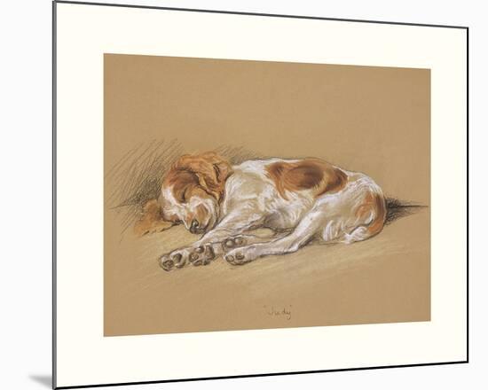 Judy, A Spaniel Puppy-Mac-Mounted Premium Giclee Print