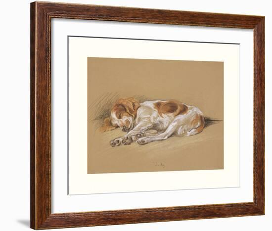 Judy, A Spaniel Puppy-Mac-Framed Premium Giclee Print