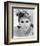 Judy Carne - Rowan & Martin's Laugh-In-null-Framed Photo