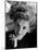 Judy Garland, 1940-null-Mounted Photographic Print