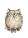 Owl VII-Judy Rossouw-Mounted Giclee Print