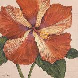 Island Hibiscus II-Judy Shelby-Art Print