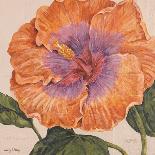 Island Hibiscus I-Judy Shelby-Art Print