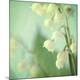 Premium Photographic Print