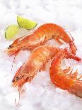 Two Cooked Lobsters on Ice-Jürgen Holz-Photographic Print