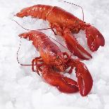 Two Cooked Lobsters on Ice-Jürgen Holz-Premier Image Canvas