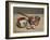 Jug, Copper Pan and Quail Eggs, 2009-James Gillick-Framed Giclee Print