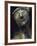 Juggler (detail)-Marino Marini-Framed Photographic Print