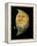 Juggling Crescent Moon-Wayne Anderson-Framed Premier Image Canvas