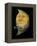 Juggling Crescent Moon-Wayne Anderson-Framed Premier Image Canvas