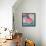 Juicy Watermelon II-Paul Brent-Framed Stretched Canvas displayed on a wall