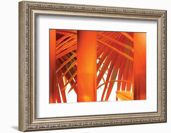 Juicy-Andrew Michaels-Framed Photographic Print