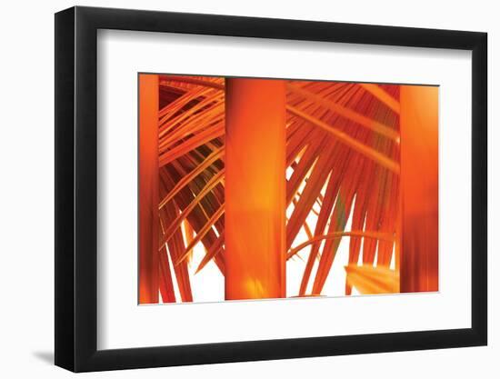 Juicy-Andrew Michaels-Framed Photographic Print