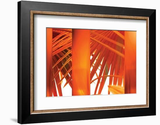 Juicy-Andrew Michaels-Framed Photographic Print