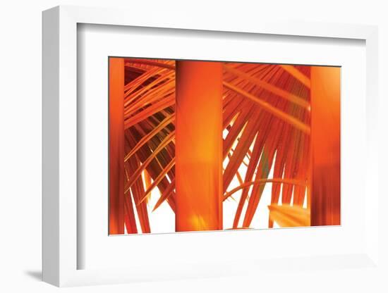 Juicy-Andrew Michaels-Framed Photographic Print