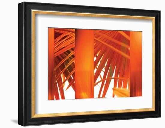 Juicy-Andrew Michaels-Framed Photographic Print