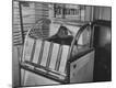 Photographic Print