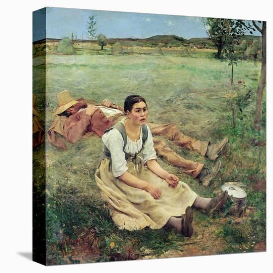 Stretched Canvas Print, , large